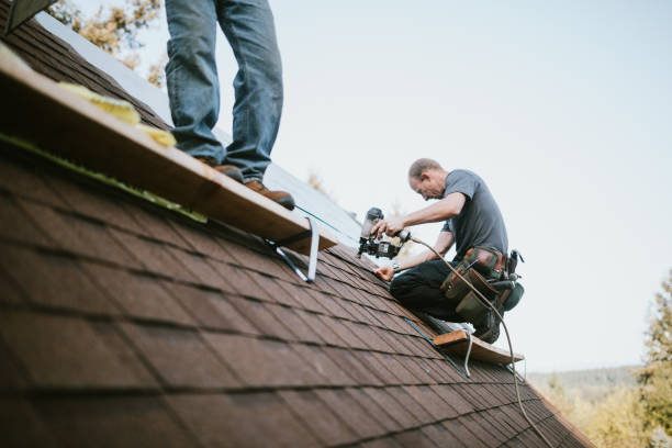 Professional Roofing Contractor in Como, MS