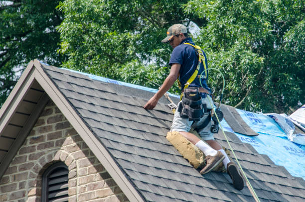 Best Shingle Roofing Installation  in Como, MS